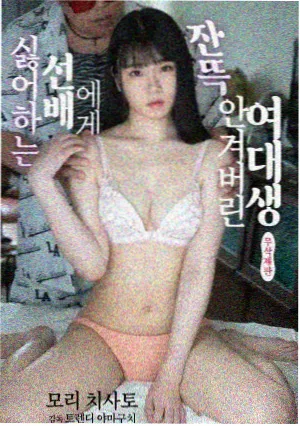 都市夜归人 电视剧免费观看